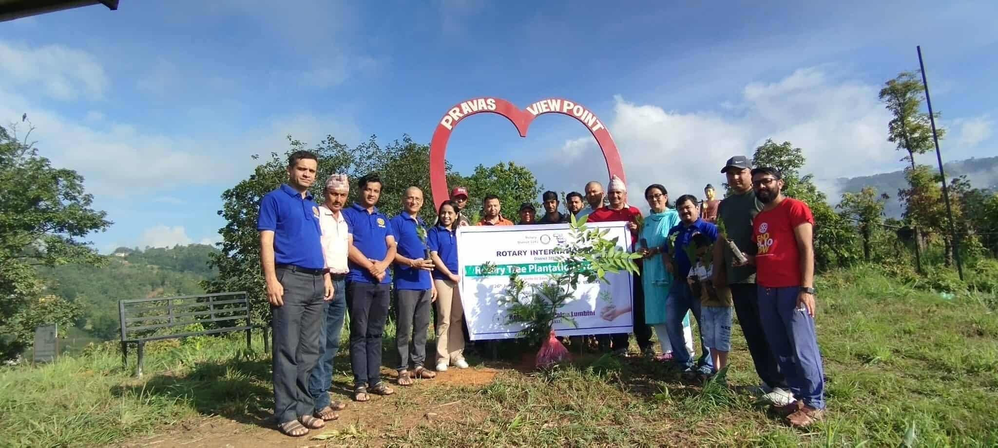 Tree Plantation